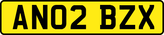 AN02BZX