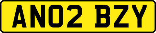 AN02BZY