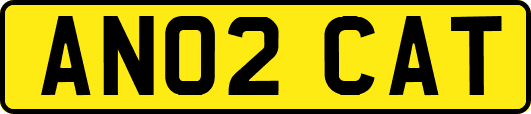 AN02CAT