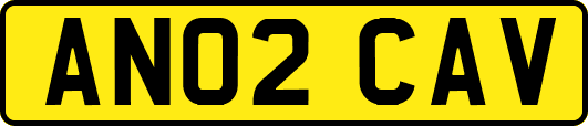 AN02CAV