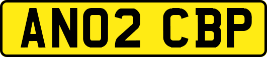AN02CBP