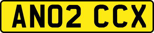 AN02CCX