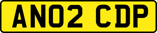 AN02CDP