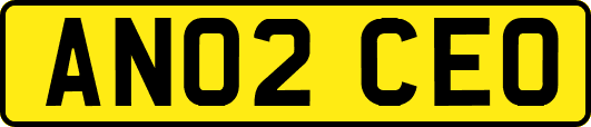 AN02CEO