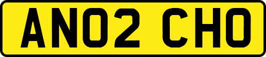 AN02CHO