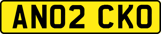 AN02CKO