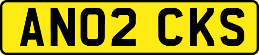 AN02CKS