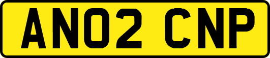 AN02CNP