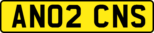 AN02CNS