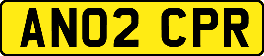 AN02CPR