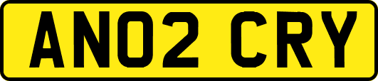 AN02CRY
