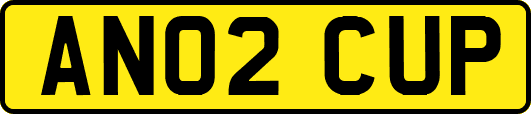 AN02CUP