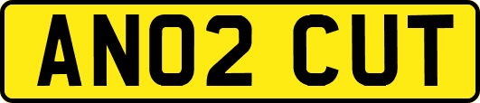 AN02CUT