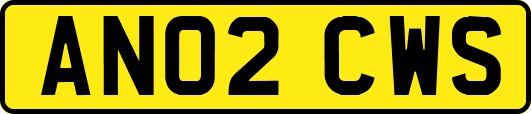 AN02CWS