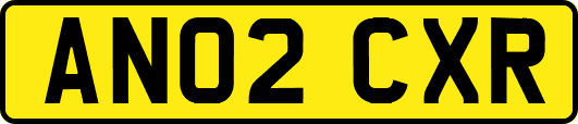AN02CXR