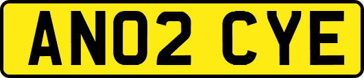AN02CYE