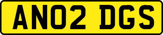 AN02DGS