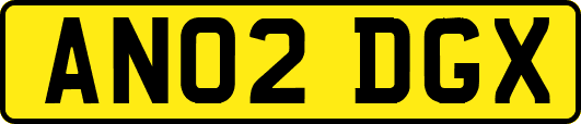 AN02DGX