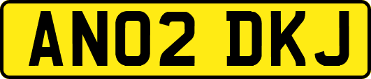 AN02DKJ