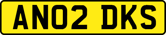 AN02DKS