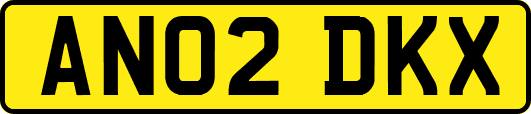 AN02DKX