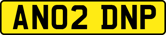 AN02DNP