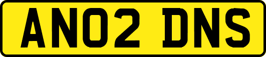 AN02DNS
