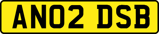 AN02DSB