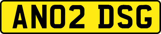 AN02DSG