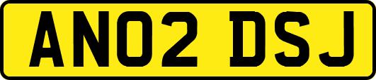 AN02DSJ