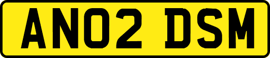 AN02DSM