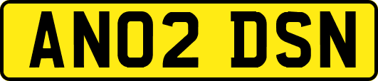 AN02DSN