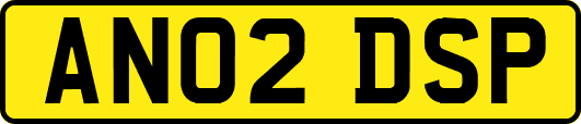 AN02DSP