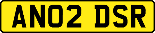 AN02DSR