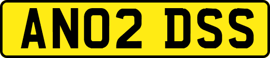 AN02DSS