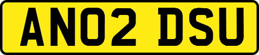 AN02DSU