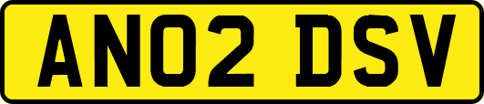 AN02DSV