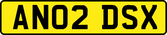 AN02DSX
