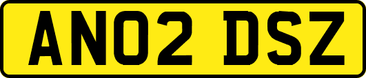 AN02DSZ