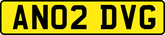 AN02DVG
