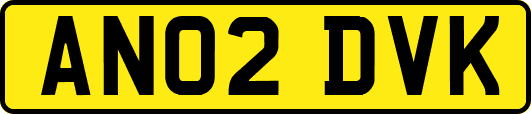 AN02DVK