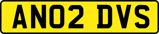 AN02DVS