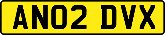 AN02DVX