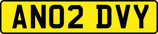 AN02DVY