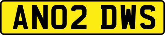 AN02DWS