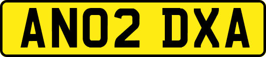 AN02DXA