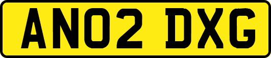 AN02DXG