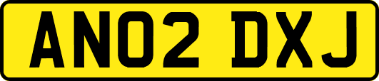 AN02DXJ