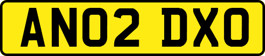 AN02DXO