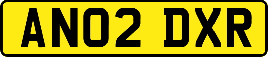 AN02DXR